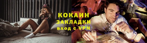 ГАЛЛЮЦИНОГЕННЫЕ ГРИБЫ Михайлов