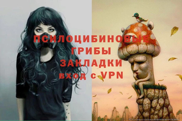 бутират Михайловка
