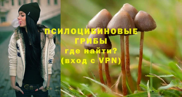 бутират Михайловка